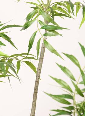 仿真十大劳假植物室内客厅栽装落地功盆假绿71360植橱窗饰竹叶草