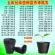 营养钵树苗种植营养袋育苗钵营养杯一次性黑色塑料软花盆简易加厚