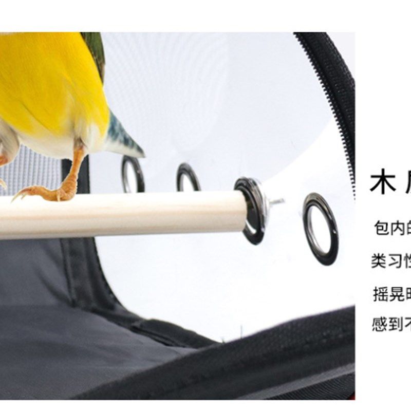 鹦鹉外出包小型便携鸟包外出鸟笼鸟箱玄凤虎皮出行笼狗狗旅行背包,宠物/宠物食品及用品,背包/箱包,淘宝优惠券,粉丝福利购,淘宝优惠卷