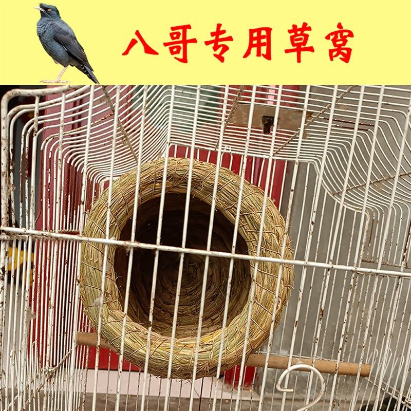 八哥专用稻草窝鸟巢繁殖下蛋保暖孵蛋悬挂式鹩哥圆形夏季鸟窝用品,宠物/宠物食品及用品,鸟窝,淘宝优惠券,粉丝福利购,淘宝优惠卷