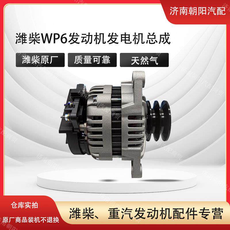 潍柴WP6引擎发电机总成1002357275潍柴WP4引擎原厂发电机