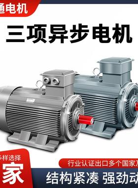电动机YE3-9L-06P1.1K1.5相2.k2NLA铝壳三异步交流电机