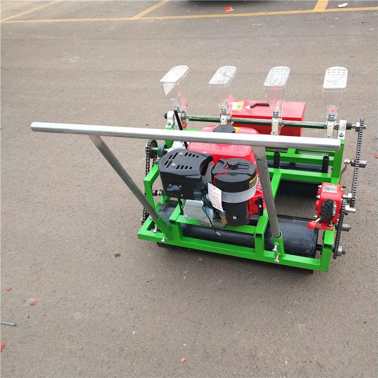 自走手扶蔬菜新型精精式密菠菜种机高粱谷子播机播多功能播种机