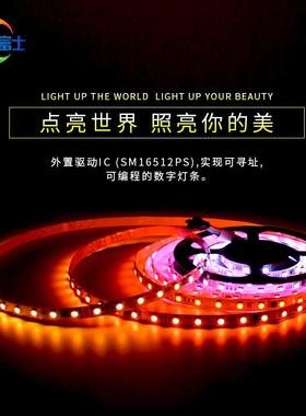 全彩DMX2幻彩色106DMX512RG10灯霓虹灯段条挤出亮化工程5050RGB灯