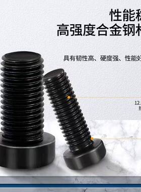 10.m9级CII细丝牙螺M1210*1.25x4镀白彩锌矮头地板5螺钉20