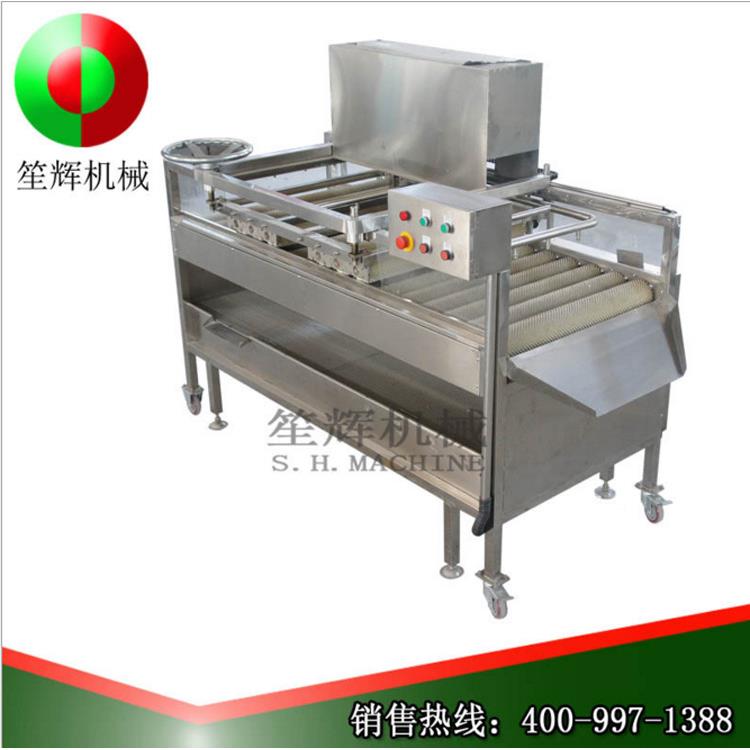 笙辉用新商甘蔗清洗机甘喷蔗去杂去鲜淤泥机毛刷淋清洗QM-2设备
