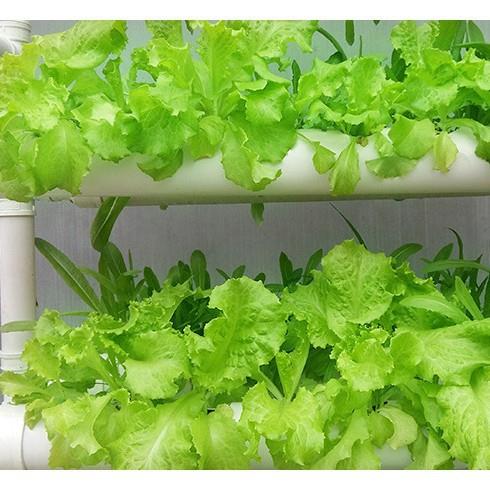 pvc花架阳台花ZRJ架阳台种植机管道种菜客厅花盆无土栽培
