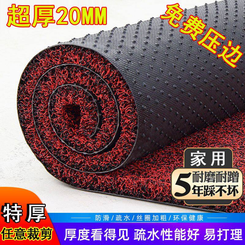 丝圈地垫超厚门垫脚垫塑料地毯大门脚垫门口地垫加厚地垫特厚