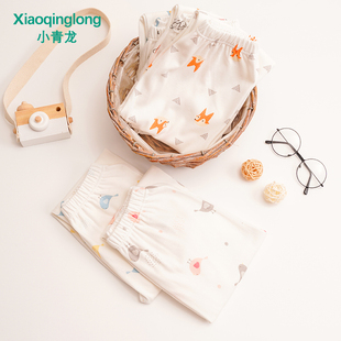 小青龙儿童秋冬薄款打底秋裤男女童宝宝卡通棉毛裤高腰纯棉睡裤