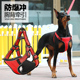 狗狗牵引绳背心式 泰迪胸背带泰迪中大型犬遛狗绳狗链子小型犬用品