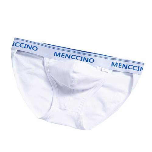 2条装男士内裤平角裤纯棉低腰性感U凸高叉三角青年白色短裤头包邮