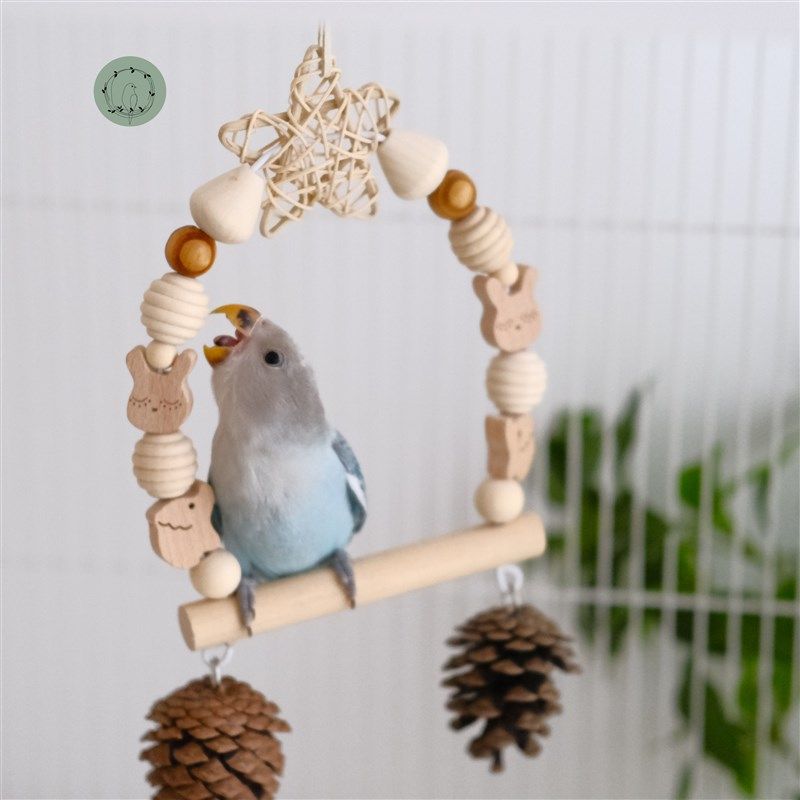 鹦鹉秋千牡丹虎皮文鸟专用松果吊环天然原木简约款鸟玩具用品,宠物/宠物食品及用品,鸟玩具,淘宝优惠券,粉丝福利购,淘宝优惠卷