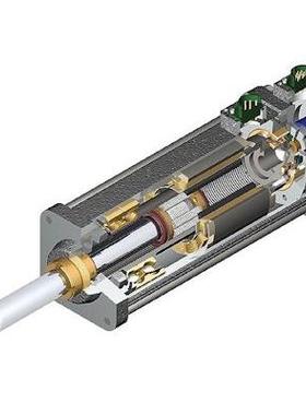 美国EXLAR伺服电动缸GSM40-1201-ABM-EM2-138-30-RB-P5