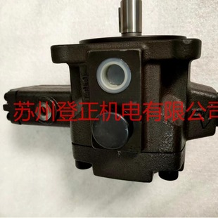 F2020 台湾YEESEN镒圣油泵TCVP TCVVP A2A2 F30