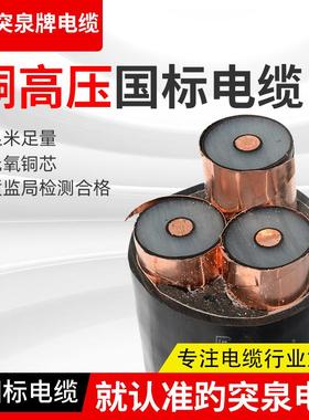 厂铜家现货YJV2210KV15KV35/KV高压电缆3*74770/91520芯