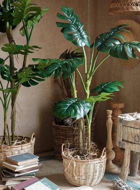 大型饰背巨型龟背树盆景HH17862仿真摆件龟竹空绿间装植公共地面