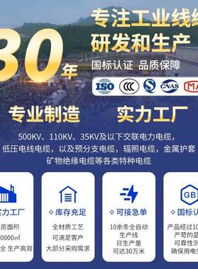 YJV1*3002401联50585铜交绝缘护套单芯电电缆单缆广芯州力南洋电