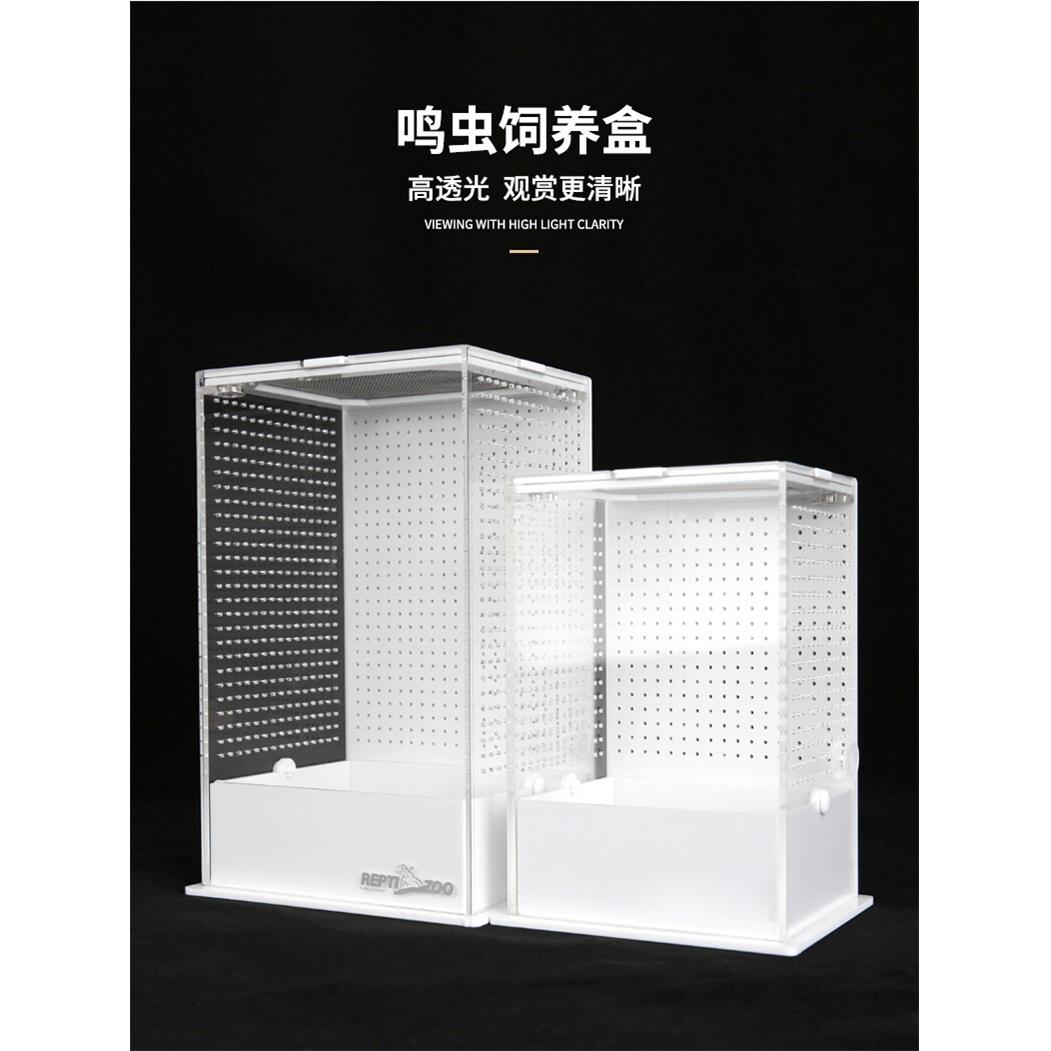 Reptizoo亚克力昆虫盒饲养盒蚂蚱螳螂罐蝈蝈笼子鸣虫生态盒蟋蟀箱图片