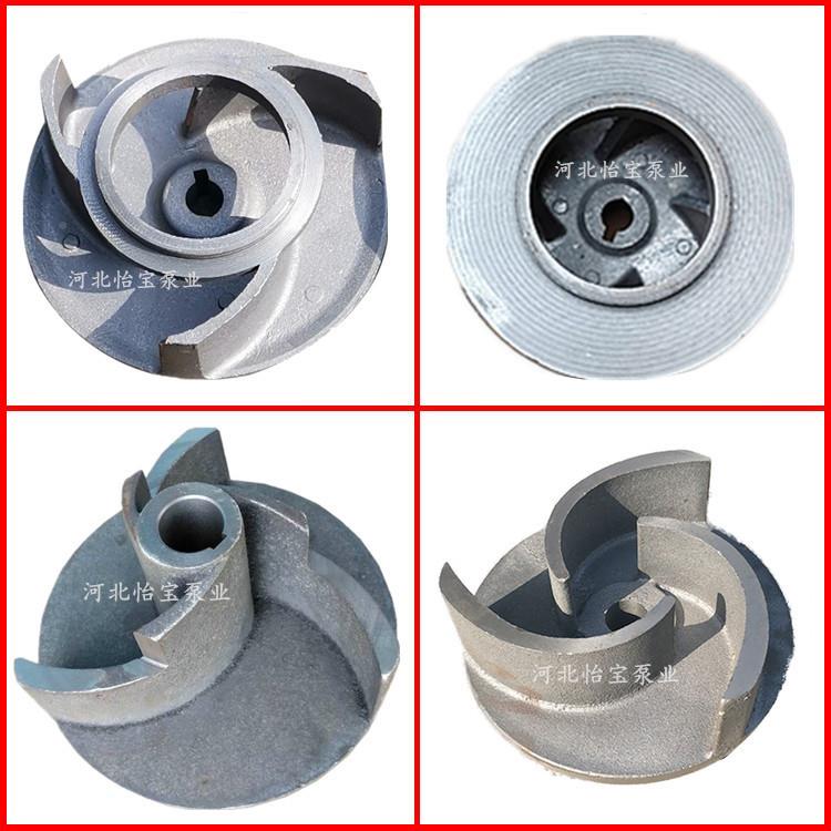 NL泥0-81HKA2浆泵立鱼塘式清淤粪便排污泵3寸