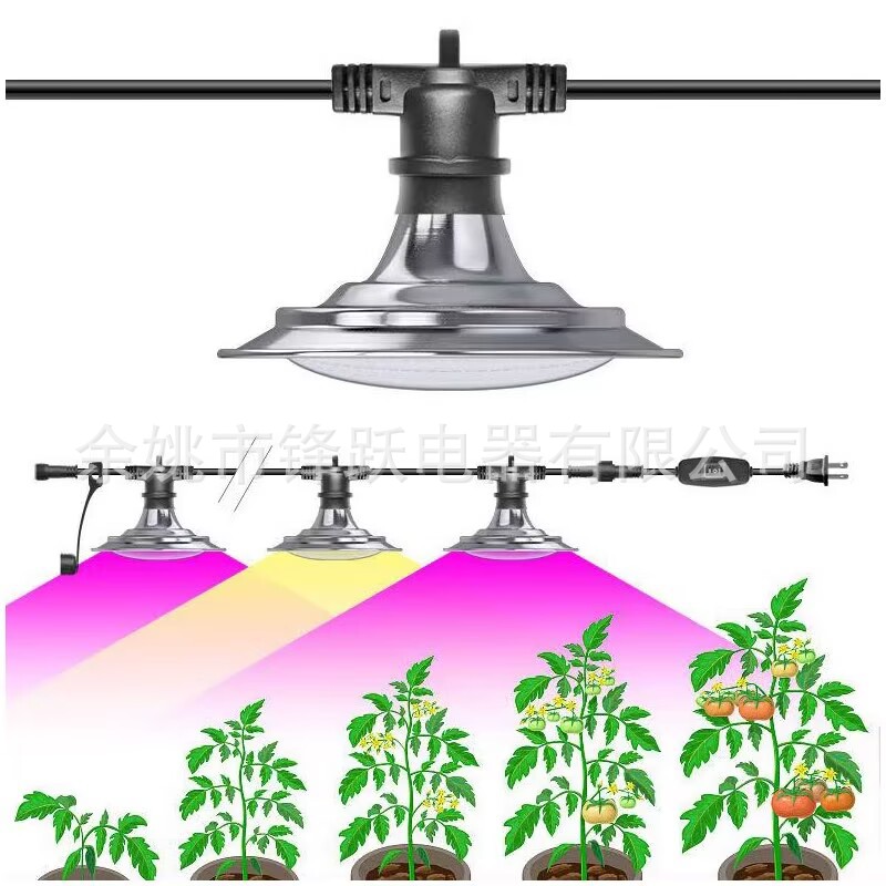 6.5米6灯植物生长补光灯串LED养殖育苗大棚火龙果绿植种植E26灯串