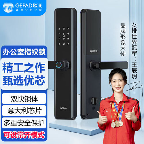 歌派（GEPAD）PT-ZWS08 指纹锁 智能锁防盗门指纹密码锁电子锁 办