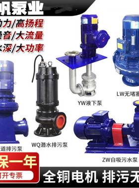 5.5瓦潜水排污50W泵Q20-ZMY40-5.540千米扬程潜污水排水泵零售