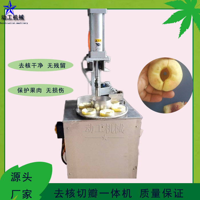转盘式西红柿切瓣机 工业不锈钢黄桃去核机 商用杏子去核机