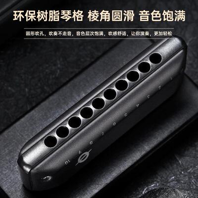 FEIFEQPA繁N/飞0孔口琴C1调布鲁斯Pady初学d者学生成人专业演奏口