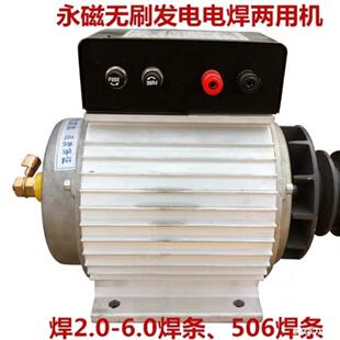 家直上海尚兀销小型永焊发电两用一体机微型直流发磁电电机220v一