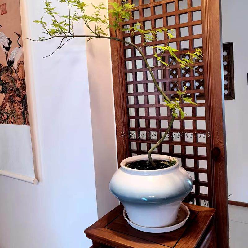 宋格式学屏风隔断实木花窗K231花入户玄关客格栅新中美式家厅装定