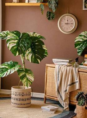 花叶龟背盆竹树植栽室绿内橱窗落地69513装植物假绿植饰摆件