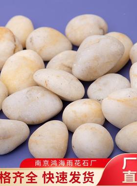 铺普抛白色鹅卵石雨花ZDA石普光普抛园A级抛光林景观工程路石