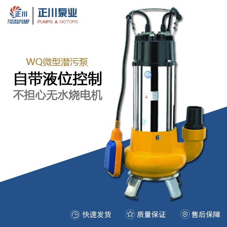 微型潜污泵单相浮球液自位自制自动动启停EDE220小控型潜水泵全动