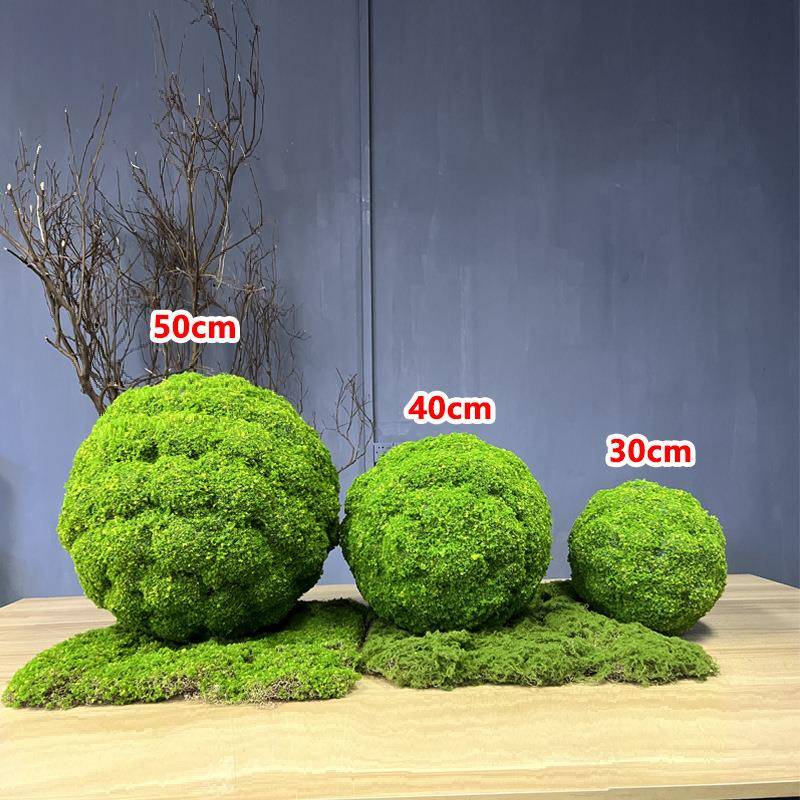 仿造真苔藓绿植物墙店铺橱窗景生白发jw0975藓青球永草皮花仿苔真