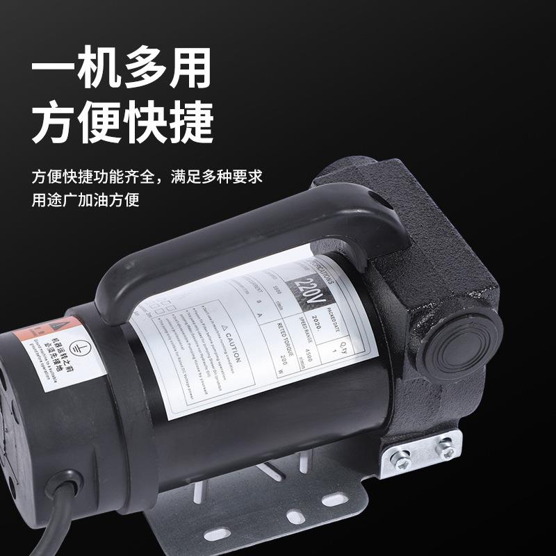 大功率小型电动抽油泵2吸0v油交2流直流自油泵手提式DMV高速加泵