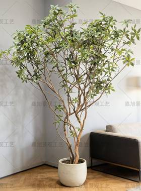 仿真绿植假造醉木盆栽木人树装饰用仿生马马醉仿80308真植物景观