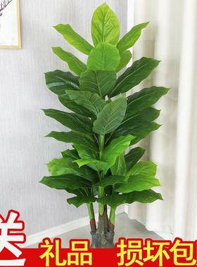 仿真绿植仿真植物树盆景室内装51439饰滴水假栽假花大型客厅盆落