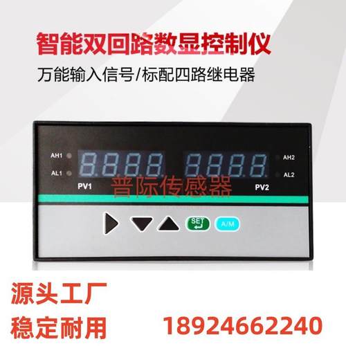 HR-WP-XD821-022-19/19-2P-A双回路数显表温控仪