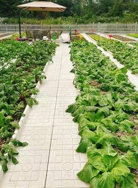 园菜小沟板农场院地田沟板庭院蔬菜铺路板菜园地垫板29227脚水泥