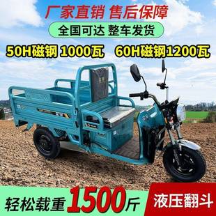 功电动三轮车载重用爬坡山区家用摆摊拉新款 货大JJ1000DZ率农快递