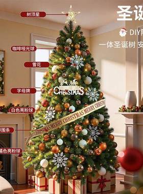 202圣5新款圣树家用客厅di布y网红高级感摆件诞场景置75SD=ZH0诞