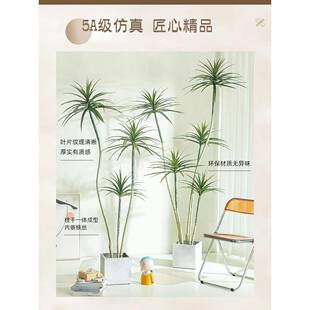 客厅地摆件大型玄关木电落视az-qnm-5柜装饰品入轻奢千户年假绿植