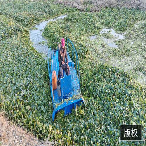海大除草制商船碎草船厂家hd-suic造道水河草粉碎船湖面水葫芦粉