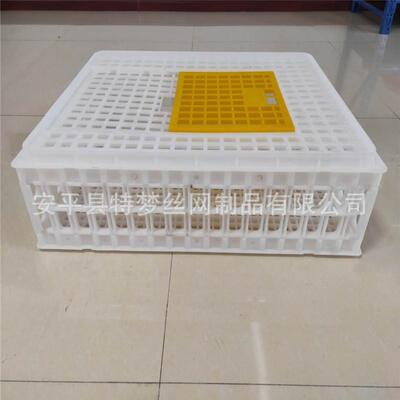 鸽鸡运输转笼塑料鸽笼ECL兔运输笼鸡鸽兔周鸭箱鸽鸽具