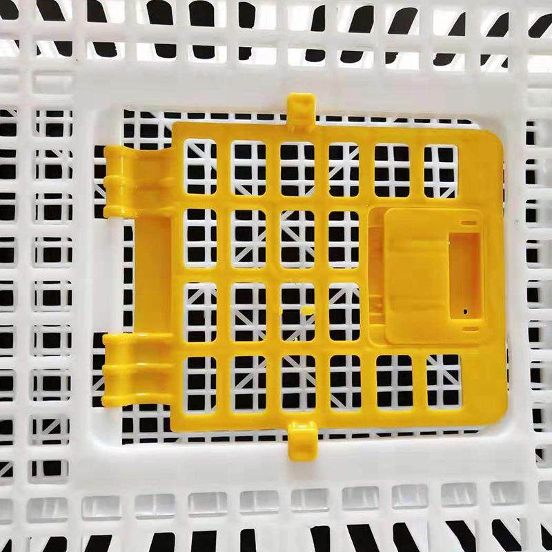 塑料鸡笼厚输鸡加笼周转箱家成用运鸡养殖AKE笼蛋鸡笼子大号厂家,农机/农具/农膜,农用防护器具,淘宝优惠券,粉丝福利购,淘宝优惠卷