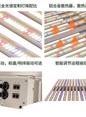 工厂双内通道八l爪植鱼VHL物灯1200w室植物生长灯全光谱ed植物补