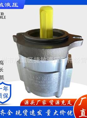 德国艾可勒ECKERLE系列齿轮泵EIPC3-064RA23-10泵头注塑机油泵