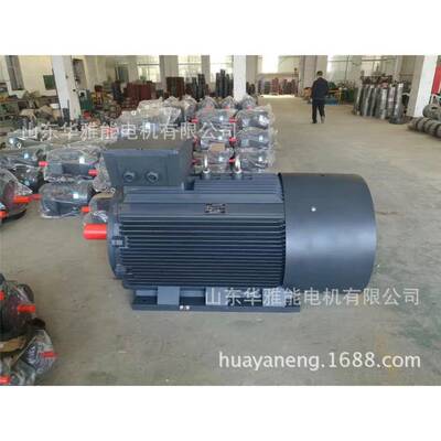 华雅BM-315M-W4-能132K电机替代皖南电机转速4OJG极11490转功率32