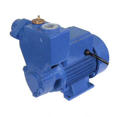 QKSM全家自动用农用水家井抽水自吸式用自增压泵清水吸泵UCG220V