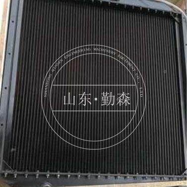 自卸车配件型车373号齐全自卸HD46水57-R箱209-03-71110